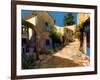 Village in Provence-Philip Craig-Framed Giclee Print