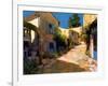 Village in Provence-Philip Craig-Framed Giclee Print