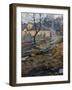 Village in Spring-Arnold Borisovich Lakhovsky-Framed Giclee Print