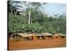 Village in the Jungle, Northern Area, Congo, Africa-David Poole-Stretched Canvas