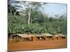 Village in the Jungle, Northern Area, Congo, Africa-David Poole-Mounted Photographic Print