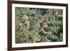 Village in the Land of the Gourague, Hosana Region, Shoa Province, Ethiopia, Africa-Bruno Barbier-Framed Photographic Print