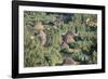 Village in the Land of the Gourague, Hosana Region, Shoa Province, Ethiopia, Africa-Bruno Barbier-Framed Photographic Print