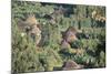 Village in the Land of the Gourague, Hosana Region, Shoa Province, Ethiopia, Africa-Bruno Barbier-Mounted Photographic Print