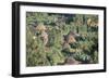 Village in the Land of the Gourague, Hosana Region, Shoa Province, Ethiopia, Africa-Bruno Barbier-Framed Photographic Print