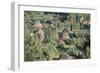 Village in the Land of the Gourague, Hosana Region, Shoa Province, Ethiopia, Africa-Bruno Barbier-Framed Photographic Print