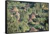 Village in the Land of the Gourague, Hosana Region, Shoa Province, Ethiopia, Africa-Bruno Barbier-Framed Stretched Canvas