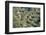 Village in the Land of the Gourague, Hosana Region, Shoa Province, Ethiopia, Africa-Bruno Barbier-Framed Photographic Print