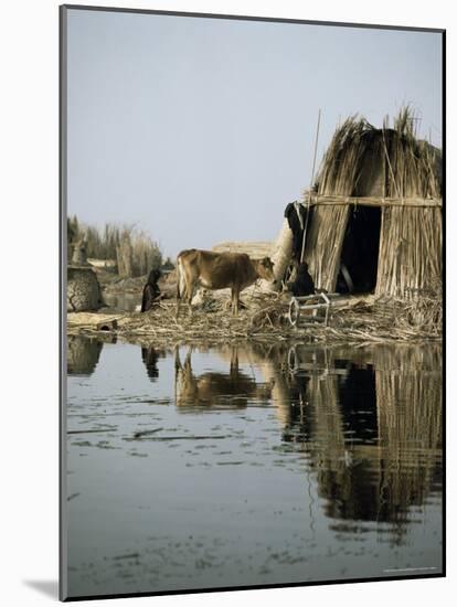 Village in the Marshes, Iraq, Middle East-Richard Ashworth-Mounted Photographic Print