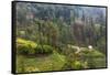 Village in the Mountain, Bromo Tengger Semeru NP, East Java, Indonesia-Keren Su-Framed Stretched Canvas