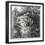 Village Life-null-Framed Giclee Print