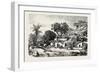 Village Near Assouan, Egypt, 1879-null-Framed Giclee Print