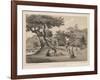 Village Near Napha, Lew Chew, 1855-Wilhelm Joseph Heine-Framed Giclee Print