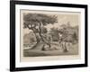 Village Near Napha, Lew Chew, 1855-Wilhelm Joseph Heine-Framed Giclee Print