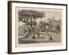 Village Near Napha, Lew Chew, 1855-Wilhelm Joseph Heine-Framed Giclee Print