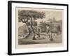 Village Near Napha, Lew Chew, 1855-Wilhelm Joseph Heine-Framed Giclee Print