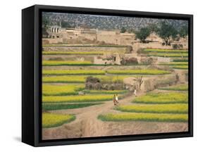 Village Near Rawalpindi, Pakistan-Harding Robert-Framed Stretched Canvas