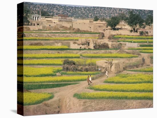 Village Near Rawalpindi, Pakistan-Harding Robert-Stretched Canvas