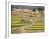 Village Near Rawalpindi, Pakistan-Harding Robert-Framed Photographic Print