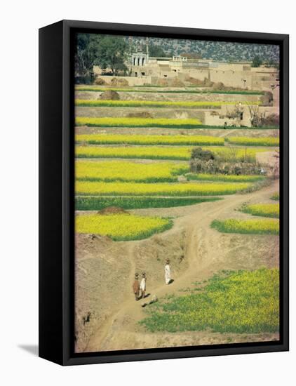 Village Near Rawalpindi, Pakistan-Harding Robert-Framed Stretched Canvas