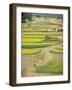 Village Near Rawalpindi, Pakistan-Harding Robert-Framed Photographic Print