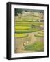 Village Near Rawalpindi, Pakistan-Harding Robert-Framed Photographic Print