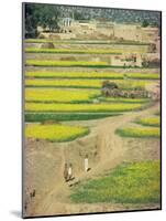 Village Near Rawalpindi, Pakistan-Harding Robert-Mounted Photographic Print