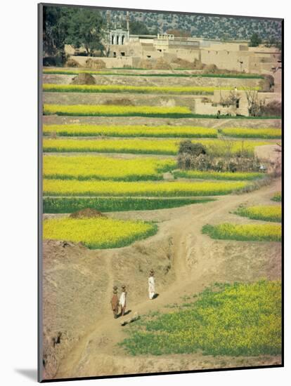 Village Near Rawalpindi, Pakistan-Harding Robert-Mounted Photographic Print