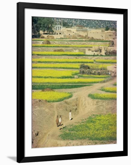 Village Near Rawalpindi, Pakistan-Harding Robert-Framed Photographic Print