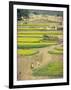 Village Near Rawalpindi, Pakistan-Harding Robert-Framed Photographic Print