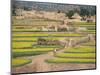 Village Near Rawalpindi, Pakistan-Harding Robert-Mounted Photographic Print