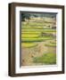 Village Near Rawalpindi, Pakistan-Harding Robert-Framed Premium Photographic Print