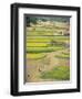 Village Near Rawalpindi, Pakistan-Harding Robert-Framed Premium Photographic Print