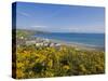 Village of Aberdaron with St. Hywyn's Church and Graveyard, Aberdaron Bay, Gwynedd, North Wales-Neale Clarke-Stretched Canvas