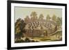 Village of an Indigenous Tribe in Florida-John White-Framed Giclee Print