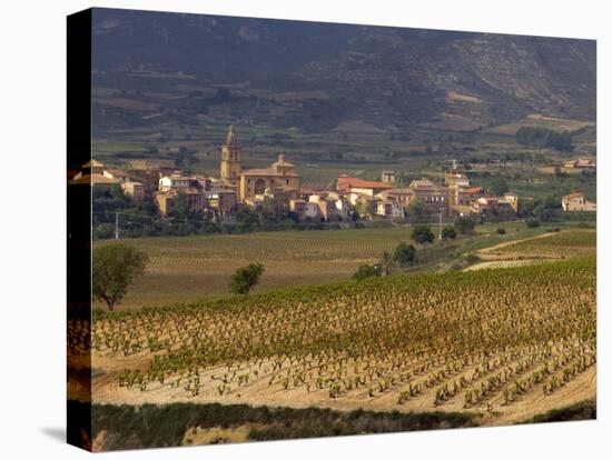 Village of Brinas surrounded by Vineyards, La Rioja Region, Spain-Janis Miglavs-Stretched Canvas