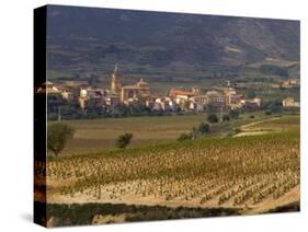 Village of Brinas surrounded by Vineyards, La Rioja Region, Spain-Janis Miglavs-Stretched Canvas