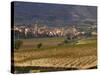 Village of Brinas surrounded by Vineyards, La Rioja Region, Spain-Janis Miglavs-Stretched Canvas