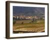 Village of Brinas surrounded by Vineyards, La Rioja Region, Spain-Janis Miglavs-Framed Photographic Print