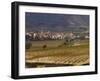 Village of Brinas surrounded by Vineyards, La Rioja Region, Spain-Janis Miglavs-Framed Photographic Print