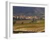 Village of Brinas surrounded by Vineyards, La Rioja Region, Spain-Janis Miglavs-Framed Photographic Print