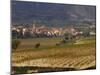 Village of Brinas surrounded by Vineyards, La Rioja Region, Spain-Janis Miglavs-Mounted Photographic Print