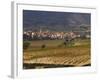 Village of Brinas surrounded by Vineyards, La Rioja Region, Spain-Janis Miglavs-Framed Photographic Print