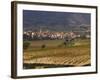 Village of Brinas surrounded by Vineyards, La Rioja Region, Spain-Janis Miglavs-Framed Photographic Print