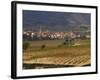 Village of Brinas surrounded by Vineyards, La Rioja Region, Spain-Janis Miglavs-Framed Photographic Print