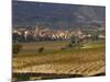 Village of Brinas surrounded by Vineyards, La Rioja Region, Spain-Janis Miglavs-Mounted Photographic Print