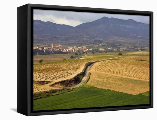 Village of Brinas surrounded by Vineyards, La Rioja Region, Spain-Janis Miglavs-Framed Stretched Canvas