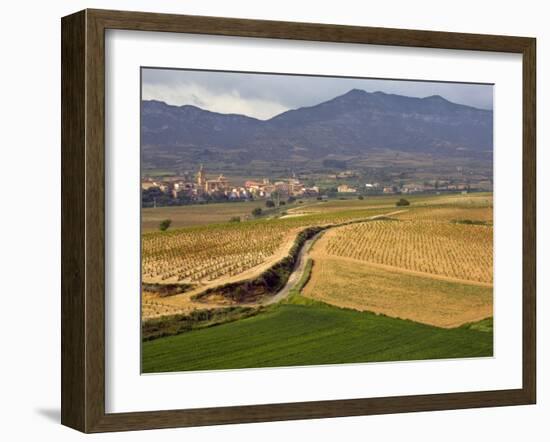 Village of Brinas surrounded by Vineyards, La Rioja Region, Spain-Janis Miglavs-Framed Photographic Print