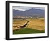 Village of Brinas surrounded by Vineyards, La Rioja Region, Spain-Janis Miglavs-Framed Photographic Print