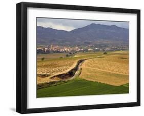 Village of Brinas surrounded by Vineyards, La Rioja Region, Spain-Janis Miglavs-Framed Photographic Print